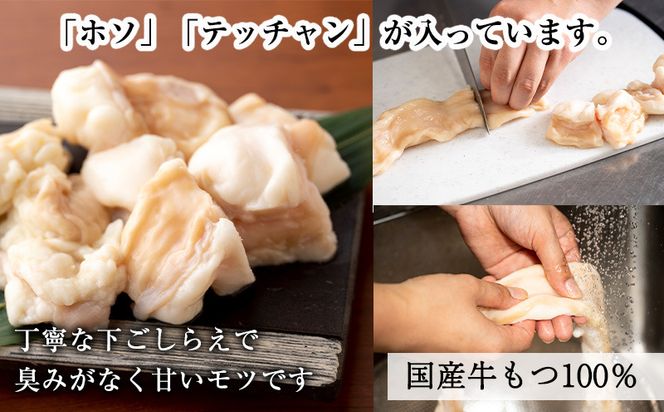 099H3416 国産牛もつ100%「まろやか京風みそ」もつ鍋セット2～3人前 モツ入りスープ 1.2kg