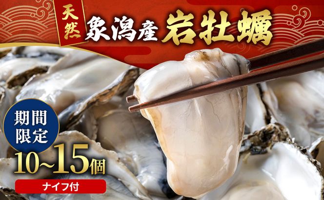 【先行予約 7月上旬～下旬発送予定】象潟産 天然岩牡蠣 10～15個 ナイフ付【牡蠣 夏牡蠣 かき 象潟 生食可 魚介類 海鮮　海産物 海の幸】　