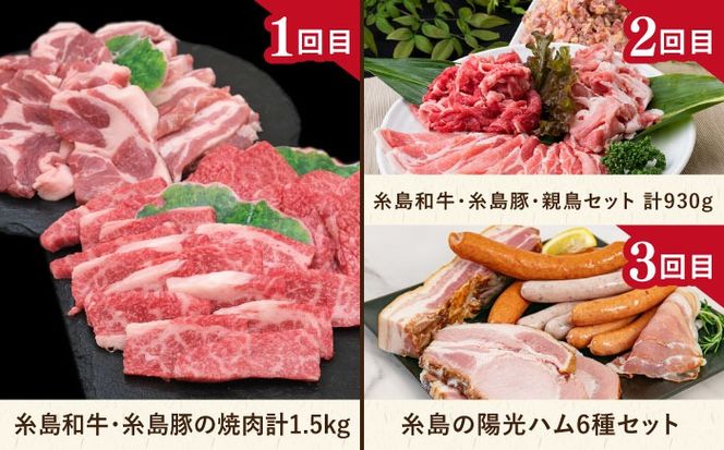 【全12回定期便】糸島・贅沢お肉定期便 毎月3～4人前 （ 博多和牛 糸島和牛 糸島豚 はかた地どり イノシシ ウインナー シャトーブリアン ステーキ ハム ソーセージ ハンバーグ ） [AAH009] 地鶏 モモ ハンバーグ ジビエ 肩ロース 焼肉 水炊き お肉 牛肉 豚肉