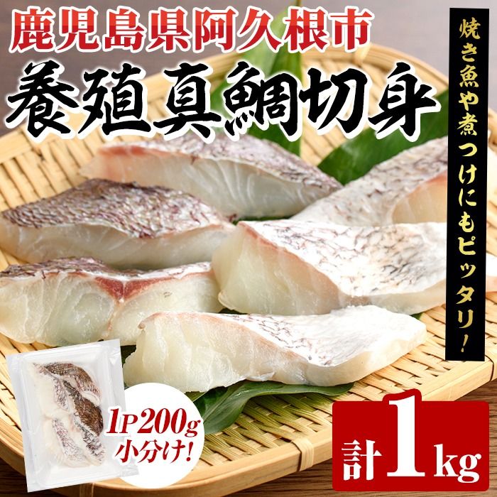 養殖真鯛切身(約1kg) 鹿児島県 阿久根市 たい タイ 真鯛 魚貝 魚介 海産物 切身 切り身 煮物 煮つけ 焼き魚 おかず おつまみ 小分け[さるがく水産]akn028-46