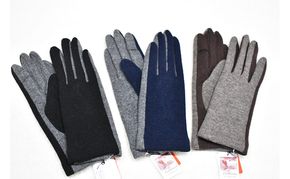 NEWレディース手袋　バイカラー（指で～る） ファッション小物 小物 冬 通勤 通学 お出かけ あったか手袋 あったかグッズ 女性用 女性用手袋 