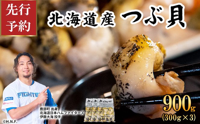【先行予約】北海道鹿部町産 訳あり ”前浜ボイルつぶ ” 900g 灯台つぶ（300g×3袋）つぶ貝 刺身 つぶ ツブ ツブ貝 つぶ貝