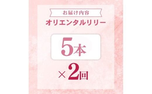 定期便2回 ユリ オリエンタルリリー 5本 花 切り花 プレゼント 贈り物 ギフト 誕生日 記念日 つぼみ 大輪 ピンク 白 香り 優雅 華麗 ブーケ フラワーアレンジメント 観賞用 インテリア 季節の花 高級感 花束 生花 福田園芸 オリエンタルハイブリッド 安芸市 高知県