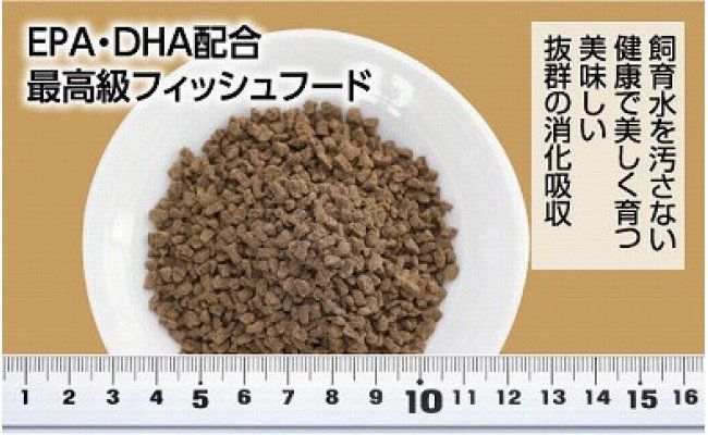 【CF-R7hbk】KGC008　GROW E クランブル 160g 中型熱帯魚用 ＜最高級 フィッシュフード EPA・DHA配合 沈降性 クランブルタイプ 魚 餌＞ プレコ 中型魚【餌 えさ エサ】【観賞魚 餌やり】【水槽/熱帯魚/観賞魚/飼育】【生体】【アクアリウム/あくありうむ】