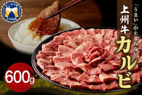 牛肉 カルビ 【上州牛】 約600gパック 群馬県 千代田町 国産 牛肉 ブランド牛 精肉 肉 お肉 焼肉 バーベキュー BBQ キャンプ アウトドア 食品 冷凍便 グルメ お取り寄せ グルメ 送料無料 