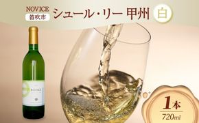 白ワイン NOVICEノヴィス  シュール・リー 甲州 720ml×1本 フルボトル 辛口 日川中央葡萄酒 山梨県 笛吹市 177-7-11