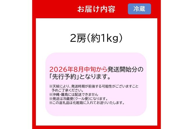 【A7-070】シャインマスカット2房(約1kg)＜2026年8月中旬から発送開始分先行予約＞