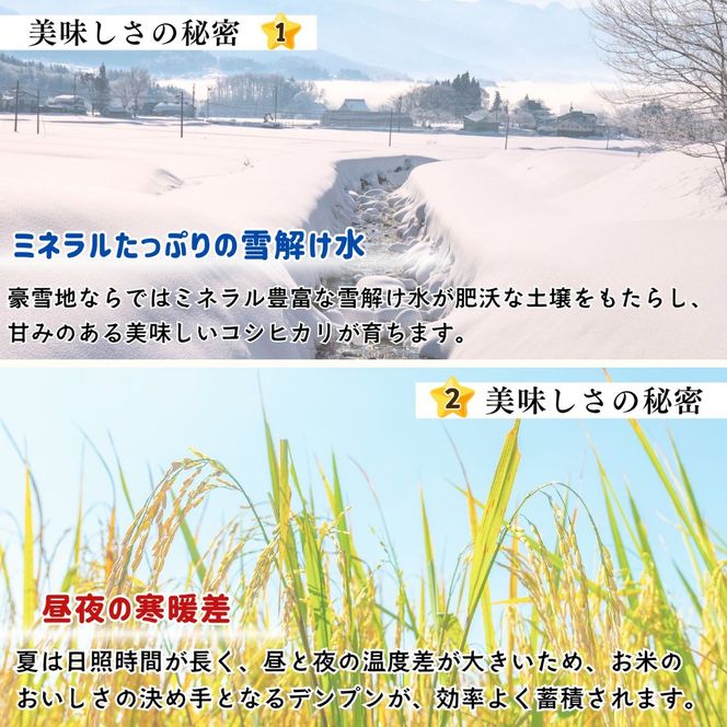 【先行予約】《 令和８年産 新米 》 こしひかり玄米 5kg  奥信濃飯山～木内ファームのお米～《 2026年9月20日頃より出荷 》 (Ca-052) 