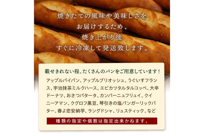 【5回定期便】京都のパン屋★ 京都 丹後のおまかせ お楽しみパン 5ヶ月定期便 【訳あり】 BT00009