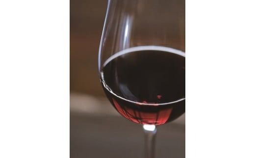 プレミアムリキュール「YANAGI2022」 高級 ほうじ茶 × 本みりん 至高の 食後酒 デザート酒 蒸留酒 お酒 ギフト 贈答 愛知県 碧南市 H200-001