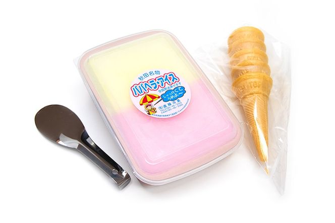 ババヘラ・アイスセット [タッパアイス2パック（1,000ml×2）、コーン10個、専用ヘラ1個]【進藤冷菓】ご当地アイス|23_sdr-060101