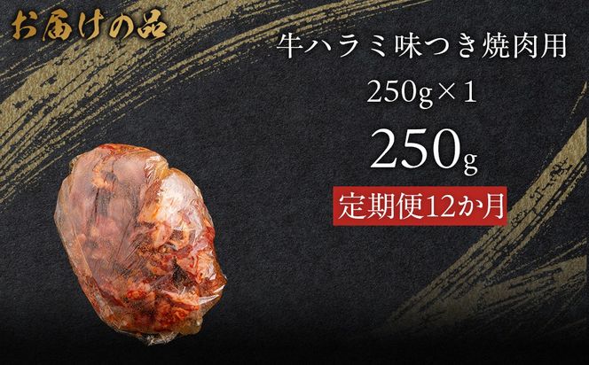 【12か月定期便】牛ハラミ味つき焼肉用 250g (250g×1)  MROBM038