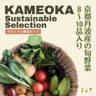 【10回定期便】＜３６９商店＞京都丹波産旬の野菜セットデラックス！平飼い卵10個、季節の果物又は加工品　※栽培期間中農薬・化学肥料不使用※ 野菜 定期便 10回 卵 ※北海道・沖縄・離島への配送不可