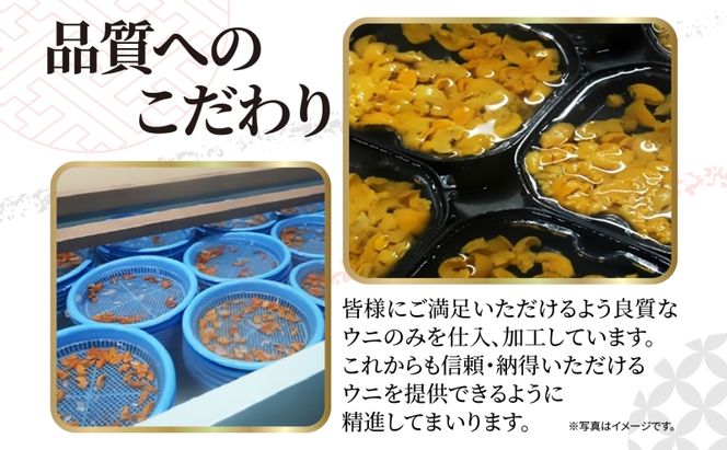 納期指定・不在対応不可 訳あり ロシア産 バフンウニ 塩水パック 100g×1 雲丹 ウニ うに 新鮮 海産物 冷蔵 濃厚 甘い