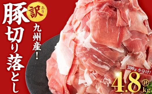 【訳あり・生産者応援企画】九州産 豚切り落とし肉＜計4.8kg(300g×16P)＞ b3-023