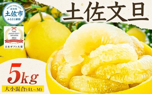 【先行予約】園主こだわりの土佐文旦 5キロ 大小混合（４L～Mサイズ） 2027年1月下旬より順次発送 ぶんたん ブンタン 柑橘 みかん 【やの一果彩】 [BQAC013]
