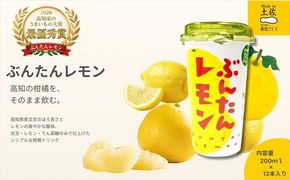 ぶんたんレモン　ストロータイプ　200ml　12本入り（高知アイス）