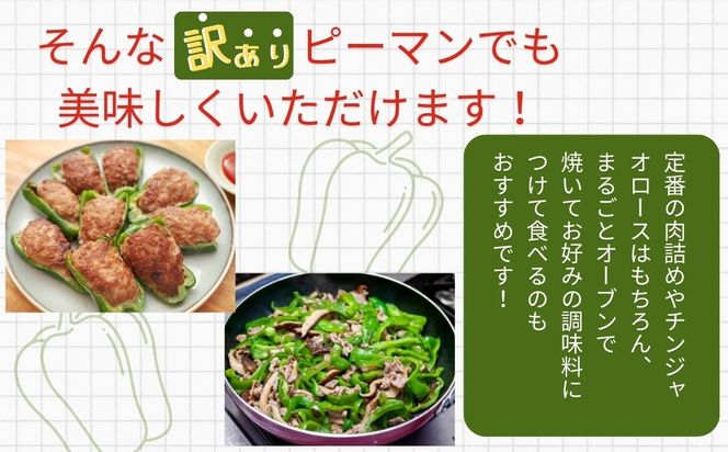 農家さん応援！ 【訳あり】 ピーマン 2kg 農家直送 野菜 新鮮 BBQ 焼肉 国産 おすすめ 送料無料 緊急支援品 生活応援 コロナ支援 福島県 田村市 新田ファーム N083-002