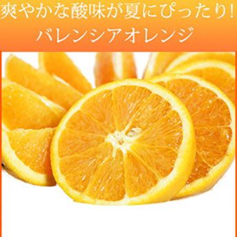 秀品 希少な国産バレンシアオレンジ 5kg
