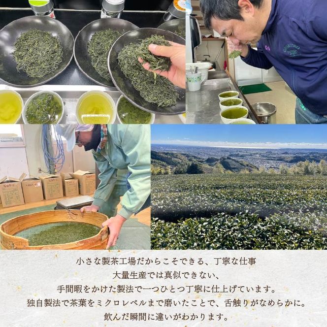 まごころ製茶 ペットボトル 350ml 16本 セット お茶 藤枝茶 緑茶 日本茶 飲料 持ち運び 便利 ペットボトル茶 微粉末緑茶 カテキン ご褒美 贈答 プレゼント 静岡県 藤枝市