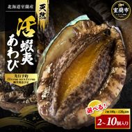 北海道室蘭産 天然活蝦夷あわび 選べる個数 2/3/4/5/10個入（1個100g～120g前後）2026年11月下旬頃～2027年1月下旬頃順次発送 MROH006-v