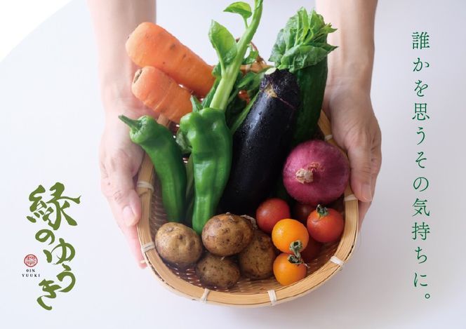 【緑のゆうき】購入された野菜の売上の1％が、社会貢献に 京都産のこだわり野菜（有機野菜、栽培期間中農薬・化学肥料不使用など）を 美味しいタイミングで収穫したセット 261009_B-KS08