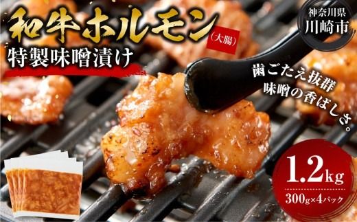 ホルモン 大腸 味噌漬け 1.2kg ( 300g × 4 ) 歯ごたえ抜群 小分け 使いやすい 味付き 調理便利 焼肉 野菜炒め ホルモン炒め 訳あり 不揃い 和牛 冷凍 配送時期が選べる 個包装 冷凍保存 アウトドア キャンプ おすすめ 人気