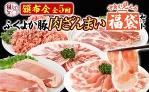【頒布会】福袋 豚肉 しゃぶしゃぶ 焼肉 切り落とし ステーキ ふくよか豚 定期便 豚肉ざんまいセット ロース 肩ロース バラ ミンチ 肩ロース 小分け ブタ肉 ぶた肉 冷凍 福岡県 福岡 九州 グルメ お取り寄せ