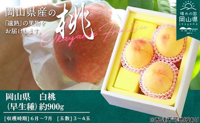 桃 2026年 先行予約 桃 早生種 約900g 3～4玉 もも モモ 岡山県産 国産 フルーツ 果物 ギフト 