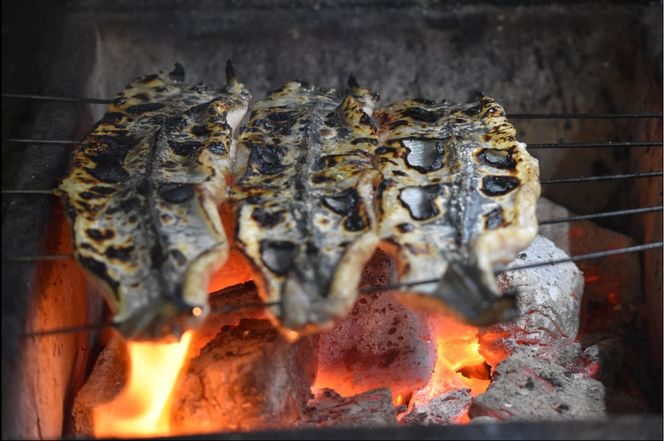 【11ヶ月定期便】【うなぎ】創業七十余年の味 至高の鰻蒲焼 3尾
