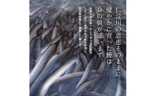 TRT001　“土佐料理司”三代目天の鰻蒲焼1尾セット／「仁淀川」水系の地下水使用 完全無投薬養殖 国産・高知県産〈高知市共通返礼品〉うなぎ 真空パック （ウナギ・たれセット）