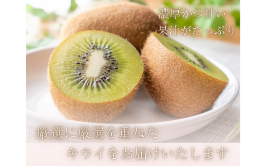 厳選 キウイ 2.5kg+250g（傷み補償分）【扁平果】 / 和歌山 フルーツ 果物 くだもの ※2026年11月中旬より2027年4月下旬頃順次発送予定 ※北海道・沖縄・離島配送不可 【ikd704B】