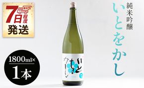 白ワインのようなお酒！純米吟醸いとをかし酒一升瓶1800ml×1本 【7日程度で発送】 gs-0111