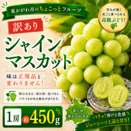 東かがわ市のちょこっとフルーツ「訳ありシャインマスカット1房（約450g）」