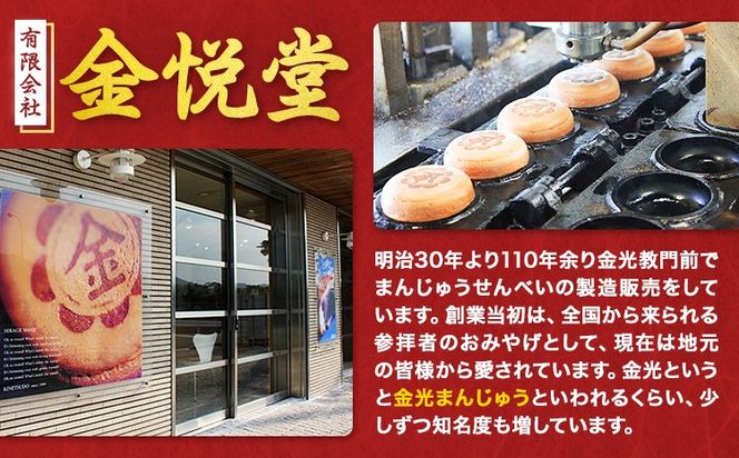 饅頭 まんじゅう みかげ饅頭 15個 金悦堂《30日以内に発送予定(土日祝除く)》 和菓子 お茶請け 岡山県 浅口市---124_70_30d_23_11000_15---