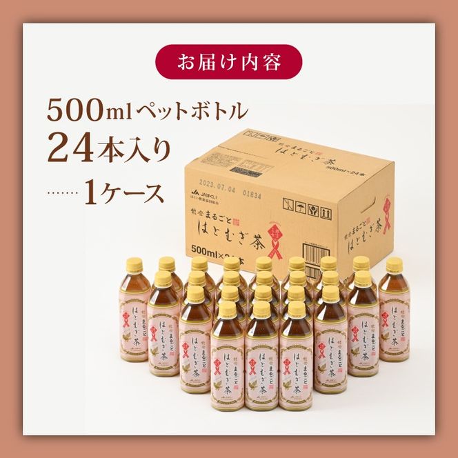 [J008] 能登のはとむぎ茶（500ml）24本セット