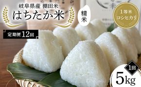 【全12回定期便】令和8年産 岐阜県産 棚田米 1等米コシヒカリ はちたか米 精米5kg（12回） F4N-3115