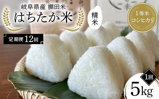 【全12回定期便】令和8年産 岐阜県産 棚田米 1等米コシヒカリ はちたか米 精米5kg（12回） F4N-3115