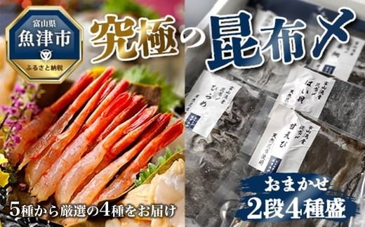 究極の昆布〆、お任せ2段4種盛（急速冷凍品）魚卸問屋はりたや 富山県魚津市 昆布締め こぶじめ 刺身 天然昆布 ※北海道・沖縄・離島への配送不可