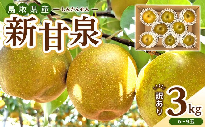 1255.【2026年度発送先行予約】訳あり　新甘泉　3kg 313726_CS004