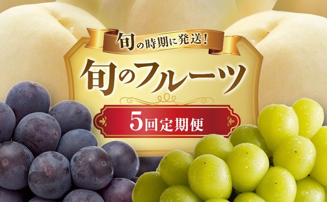 【2026年先行受付】 白桃 ニューピオーネ シャインマスカット 晴王 5回 定期便 桃 もも モモ ぶどう 葡萄 ブドウ 岡山県産　御中元 ギフト 御礼 プレゼント 御礼 御祝 御供 果物 くだもの フルーツ