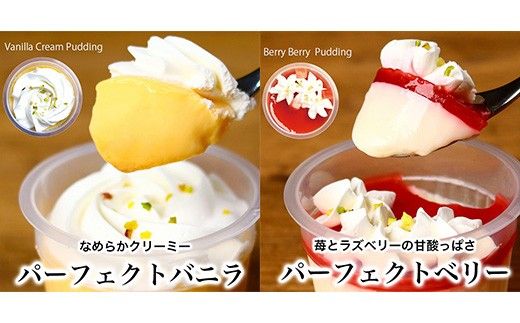 パーフェクトプリン10個入　パティスリー天使のおくりもの　※離島への配送不可