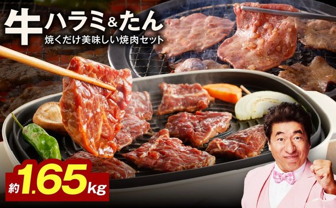 099Z442 【定期便】牛ハラミ肉 ＆ 牛たん 総量 1.65kg【大人気の食べ比べ ハラミ 牛タン 小分け 牛肉 焼肉セット BBQ 訳あり サイズ不揃い 2026年3月＆6月発送 全2回】