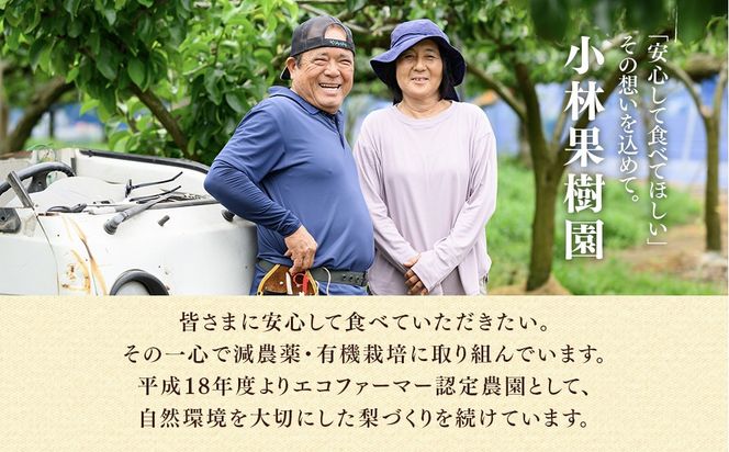 【訳アリ！先行予約】小林果樹園の梨 6～10玉 約3kg　※2026年9月～発送