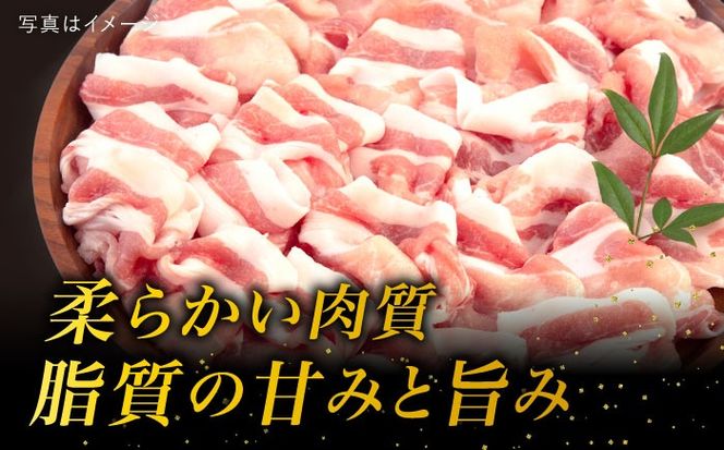 【全12回定期便】糸島産豚肉 ロース 肉 スライス しゃぶしゃぶ 用 600g 糸島市 / 糸島ミートデリ工房 [ACA328]