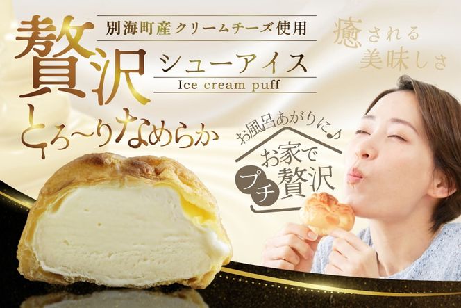 北海道 別海町 【12か月定期便】 BETSUKAI 濃厚 シューアイス 10個 セット【NSM120001】