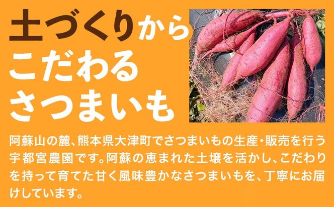 熟成 さつまいも 紅はるか 3kg 5kg S～2L 宇都宮農園《11月上旬-3月末頃出荷》 熊本県 大津町 さつま芋 芋 スイーツ 野菜 おやつ サツマイモ べにはるか---oz_utm_4_3kg---