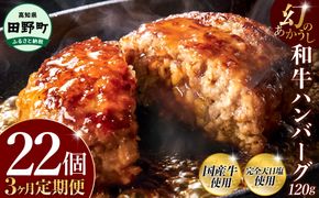 幻のあかうし和牛ハンバーグ 22個入り 3ヶ月定期便 1個120g 田野屋青蜂 白鯆 完全天日塩練り込み 肉 お肉 国産牛 土佐あかうし 四万十ポーク おかず 惣菜 おいしい お取り寄せ 冷凍 配送 高知県 田野町