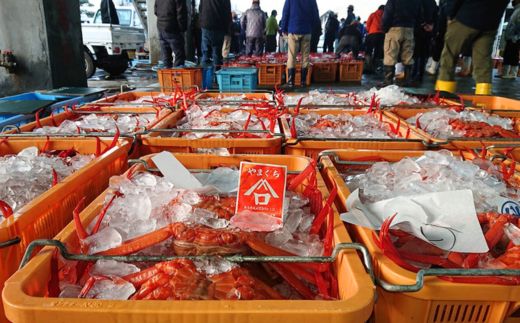 【釜茹で香住ガニ 2～3杯（1.6～1.8kg分）冷蔵】水揚げがあり次第順次発送 配送日指定不可 香住がに 紅ずわいがに 紅ズワイガニ カニ かに 蟹 ボイル おすすめ 兵庫県 香美町 香住 32000円 今西食品 49-02