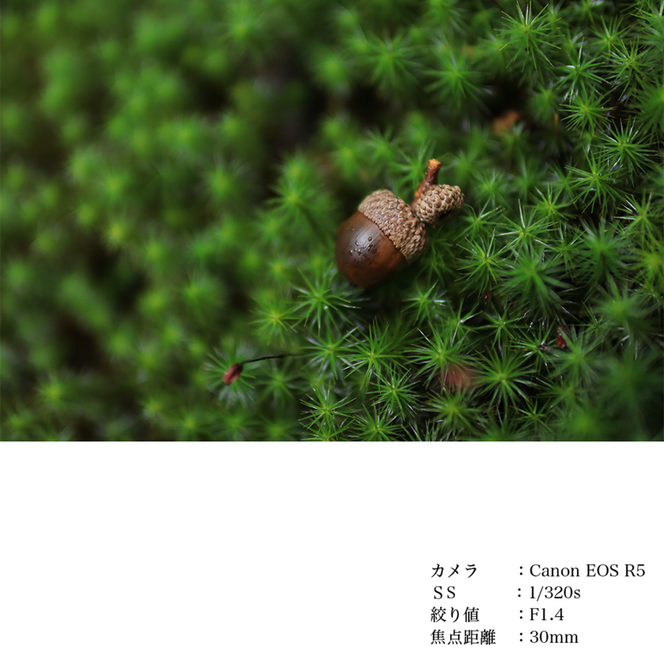 SIGMA 30mm F1.4 DC DN | Contemporary【富士フィルムXマウント】